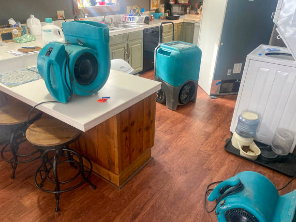 Best Water damage restoration near me  in Rochester Institute Of Technology, NY