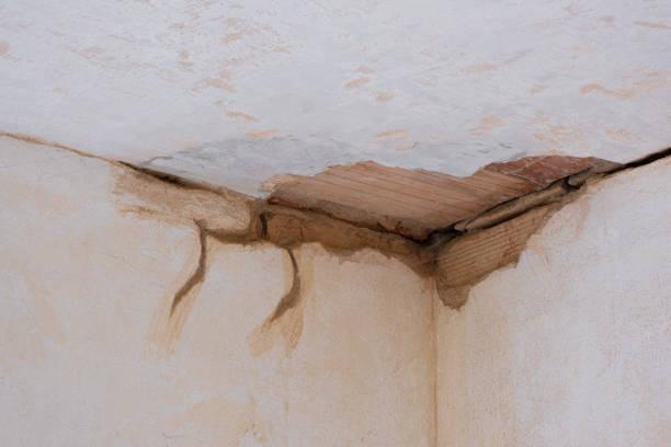 Best Professional water damage repair  in Rochester Institute Of Technology, NY