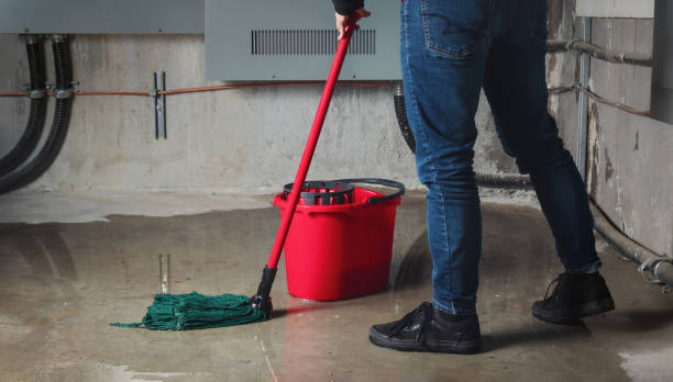 Best Carpet water damage restoration  in Rochester Institute Of Technology, NY