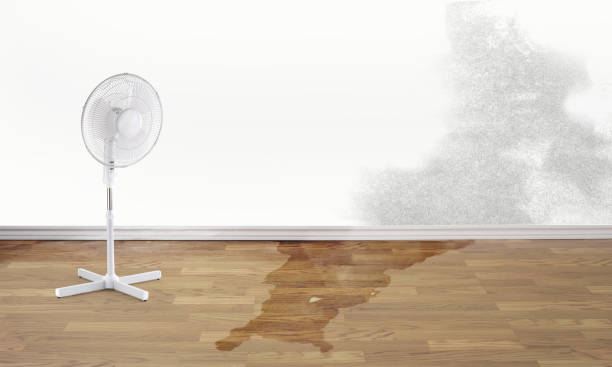 Best Commercial water damage restoration  in Rochester Institute Of Technology, NY