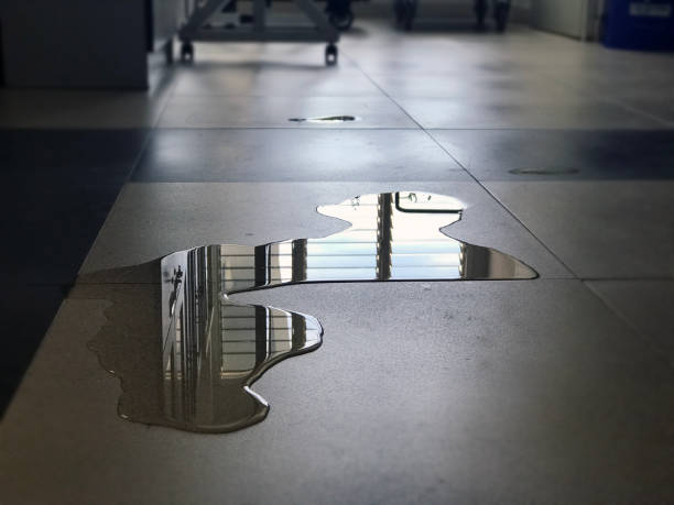Best Water damage cleanup near me  in Rochester Institute Of Technology, NY