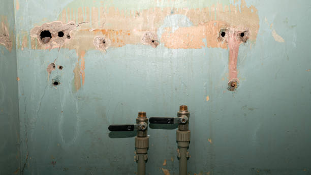 Best 24-hour water damage restoration  in Rochester Institute Of Technology, NY