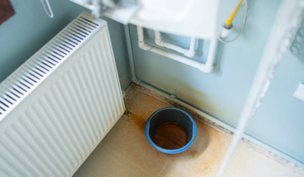 Best Flood damage cleanup  in Rochester Institute Of Technology, NY